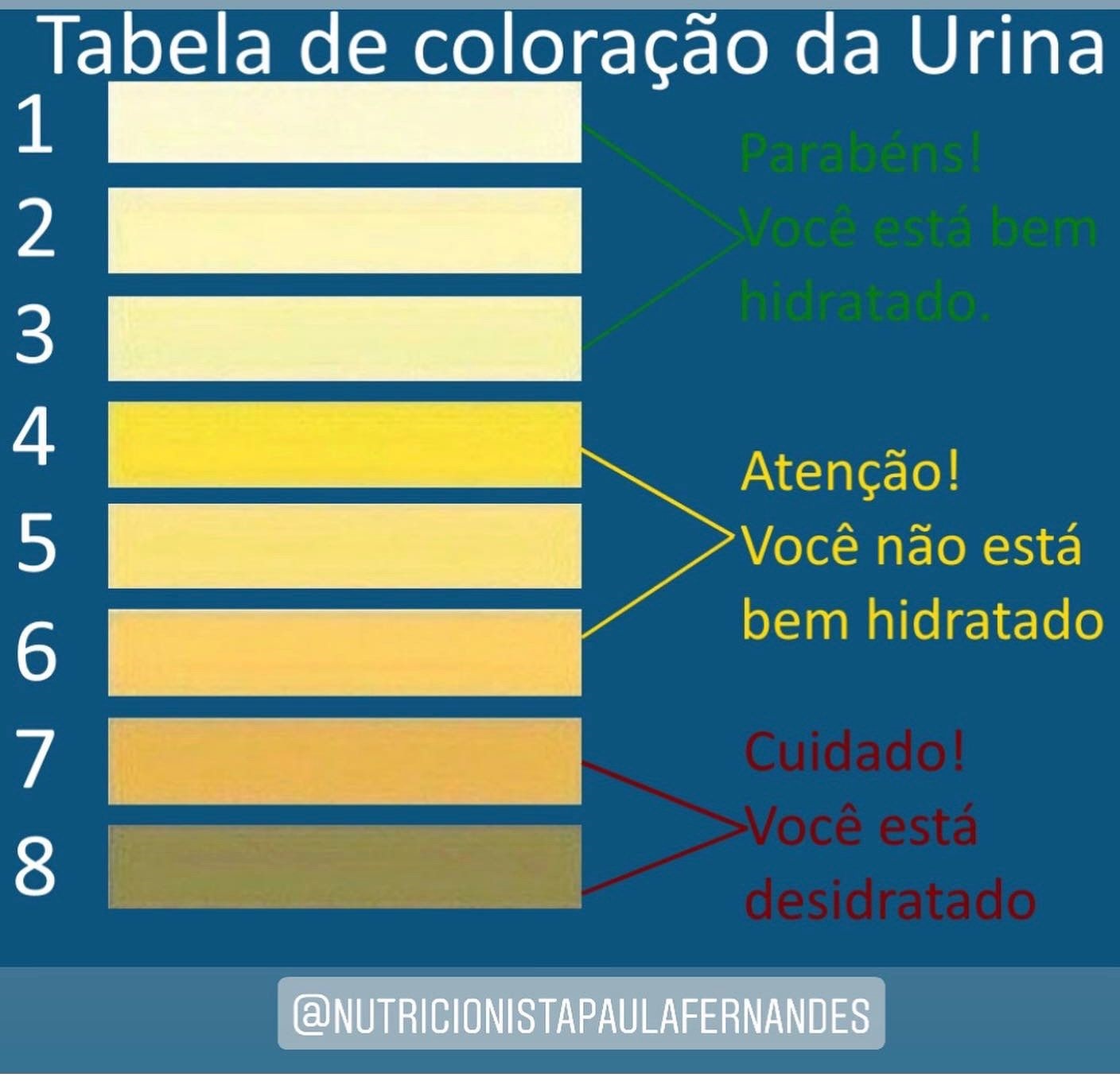 Postado em 01/10/2021 por Nutricionista Paula Fernandes